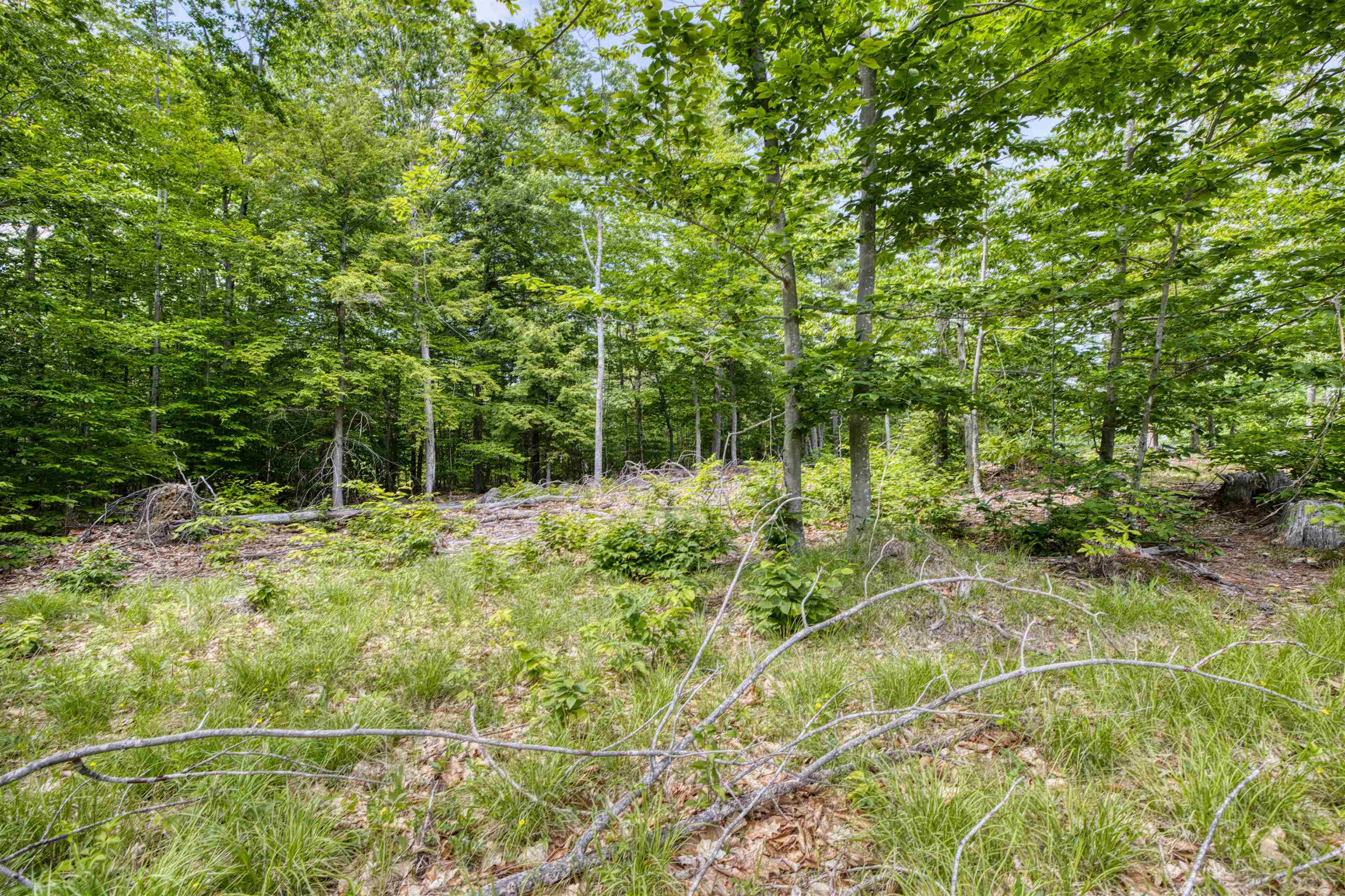 160 Browns Ridge Road Ossipee, NH 03864 - Photo 56 of 59