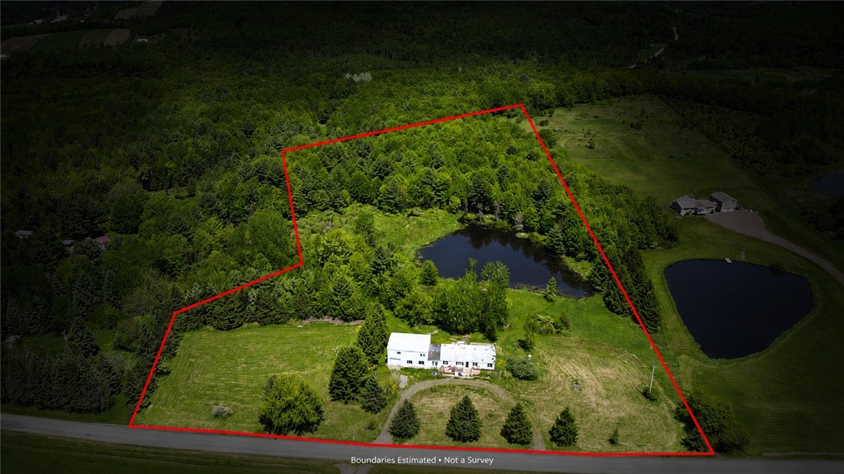 5820 Steam Mill Road Masonville, NY 13849 - Photo 5 of 47