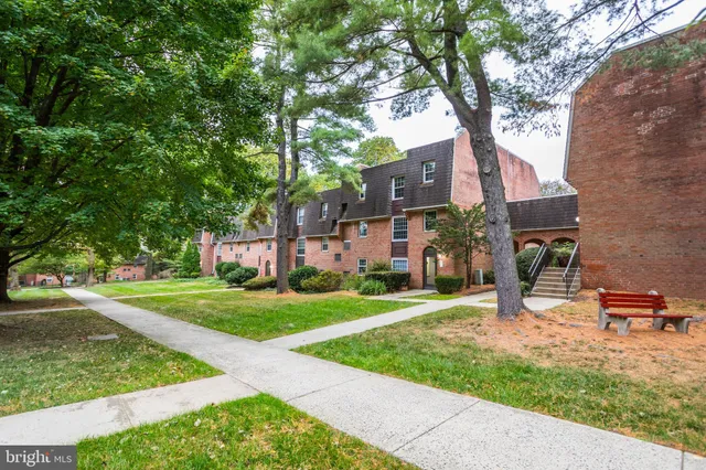 a view of a chairs in a park