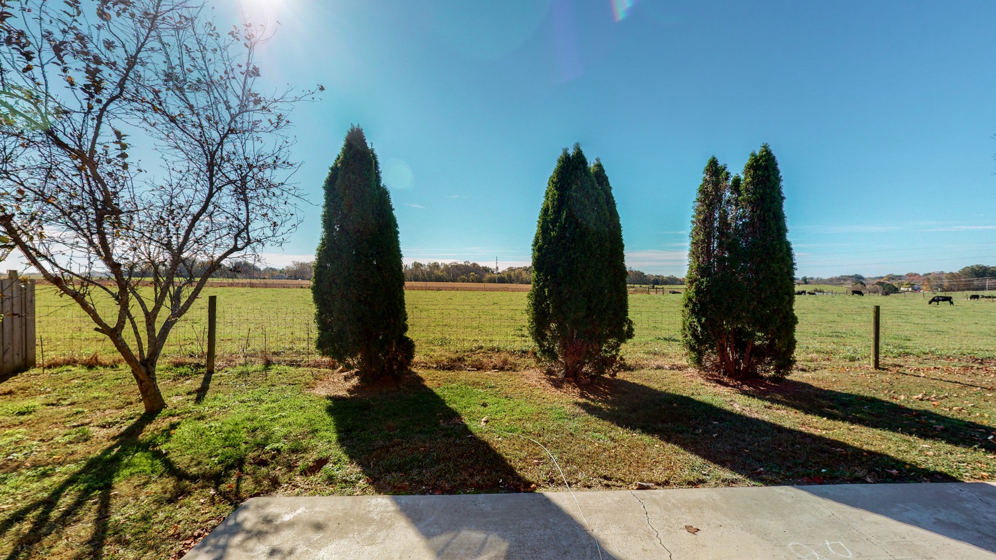 184 Foxrun Springfield, TN 37172 - Photo 20 of 20 a view of a garden with trees