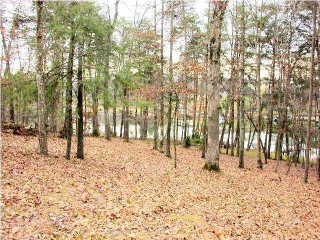 1 Key Cove Road Spring City, TN 37381 - Photo 1 of 2 Primary Photo