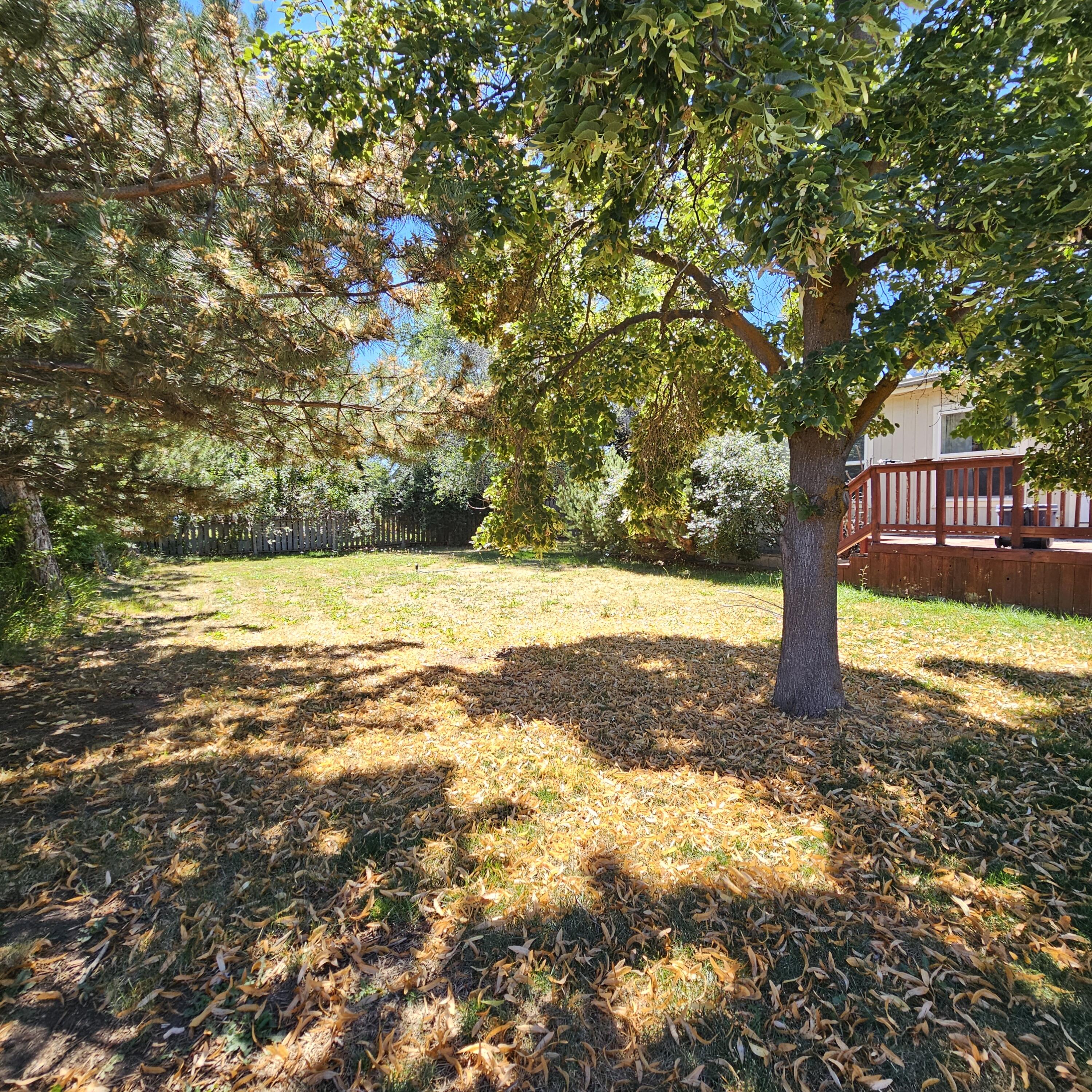 5104 Homedale Road Klamath Falls, OR 97603 - Photo 37 of 38 20250819_134425