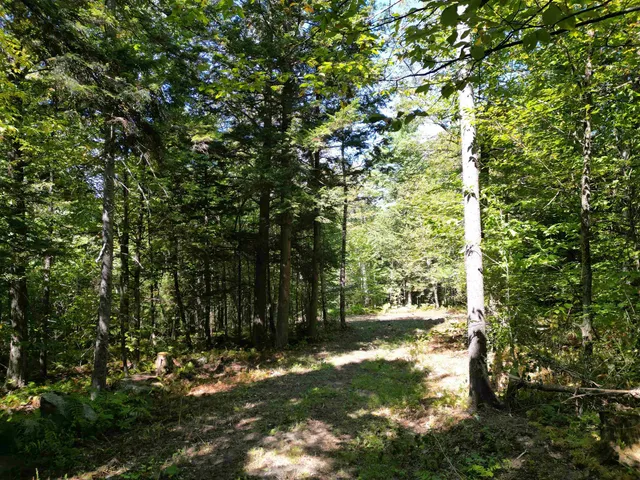 $125,000 | 0 Angell Road, Woodstock, VT 05091