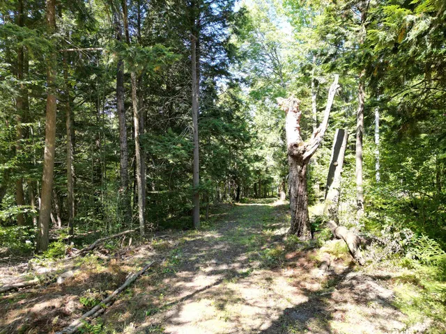 $125,000 | 0 Angell Road, Woodstock, VT 05091