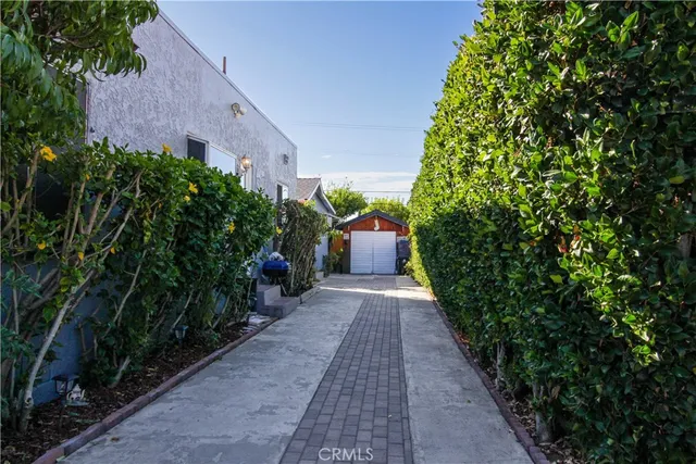 a view of a backyard with potted plants