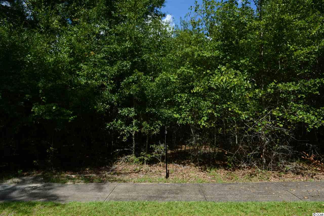 154 Madison Drive Georgetown, SC 29440 - Photo 6 of 7 Gallery Image 6