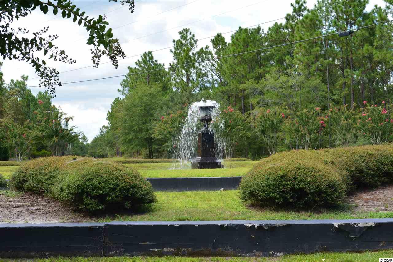 154 Madison Drive Georgetown, SC 29440 - Photo 7 of 7 Gallery Image 7