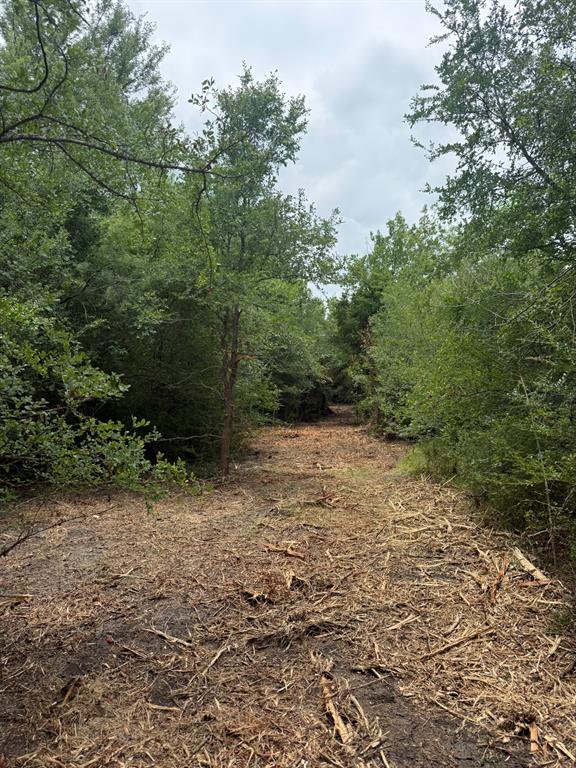 Tbd McKnight Road Ferris, TX 75125 - Photo 18 of 26