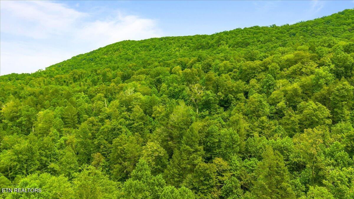 0 Frost Bottom Road Clinton, TN 37716 - Photo 9 of 11 beyc69974c0832c3c