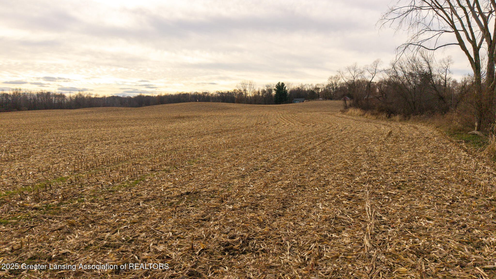 Vl Windsor Highway Dimondale, MI 48821 - Photo 27 of 31 Windsor_Hwy_37_ACRE_BROCK-27