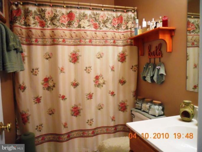 3239 Panhandle Road Front Royal, VA 22630 - Photo 22 of 30 Bath #1