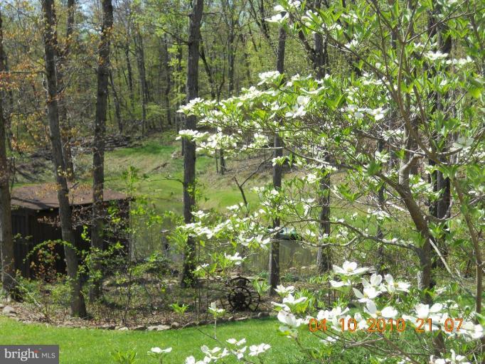 3239 Panhandle Road Front Royal, VA 22630 - Photo 28 of 30 Other #3