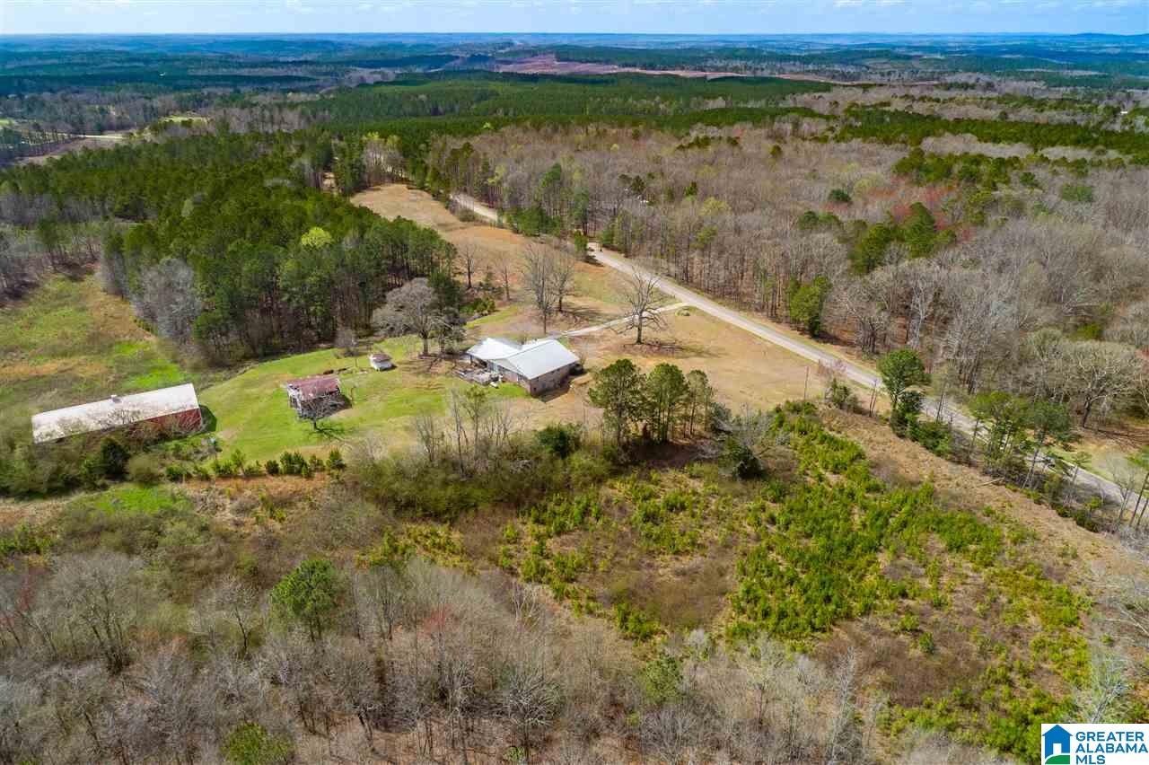 4199 Cowpens Road Alexander City, AL 35010 - Photo 33 of 50
