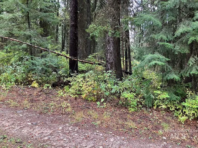 $250,000 | 1790 Lark Trail, Cascade, ID 83611