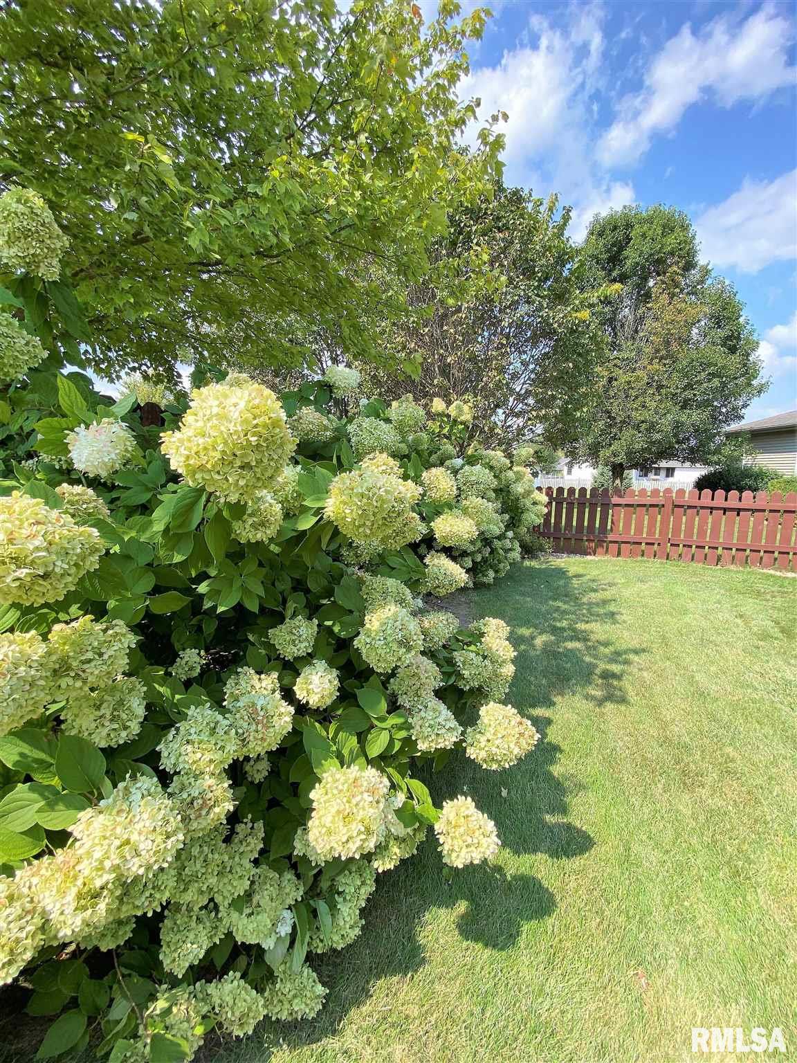 513 Bristol Court Rochester, IL 62563 - Photo 23 of 26