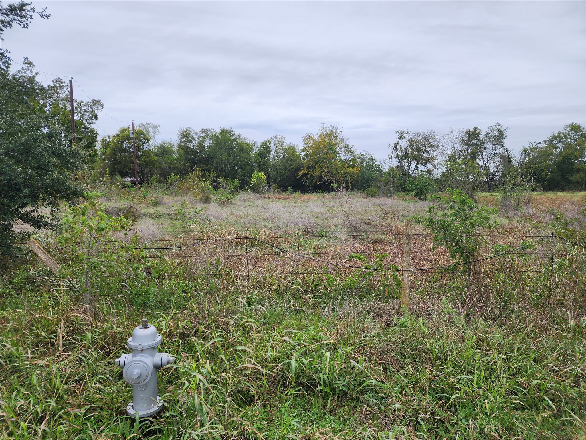 1411 Old Thorndale Road Taylor, TX 76574 - Photo 2 of 9 a view of a yard