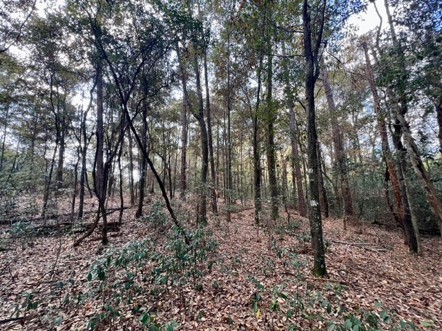 Undisclosed Address Headland, AL 36345 - Photo 26 of 36