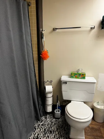 a bathroom with a toilet and a shower curtain