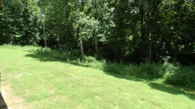 925 Collins Road Red Boiling Springs, TN 37150 - Photo 42 of 64 Gallery Image 42