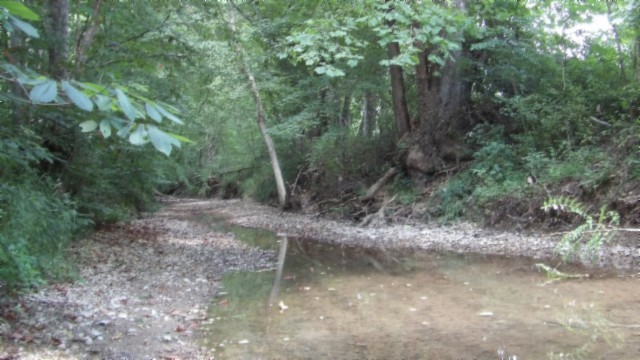 925 Collins Road Red Boiling Springs, TN 37150 - Photo 58 of 64 Gallery Image 58