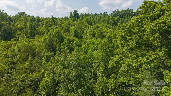 a view of a lush green field