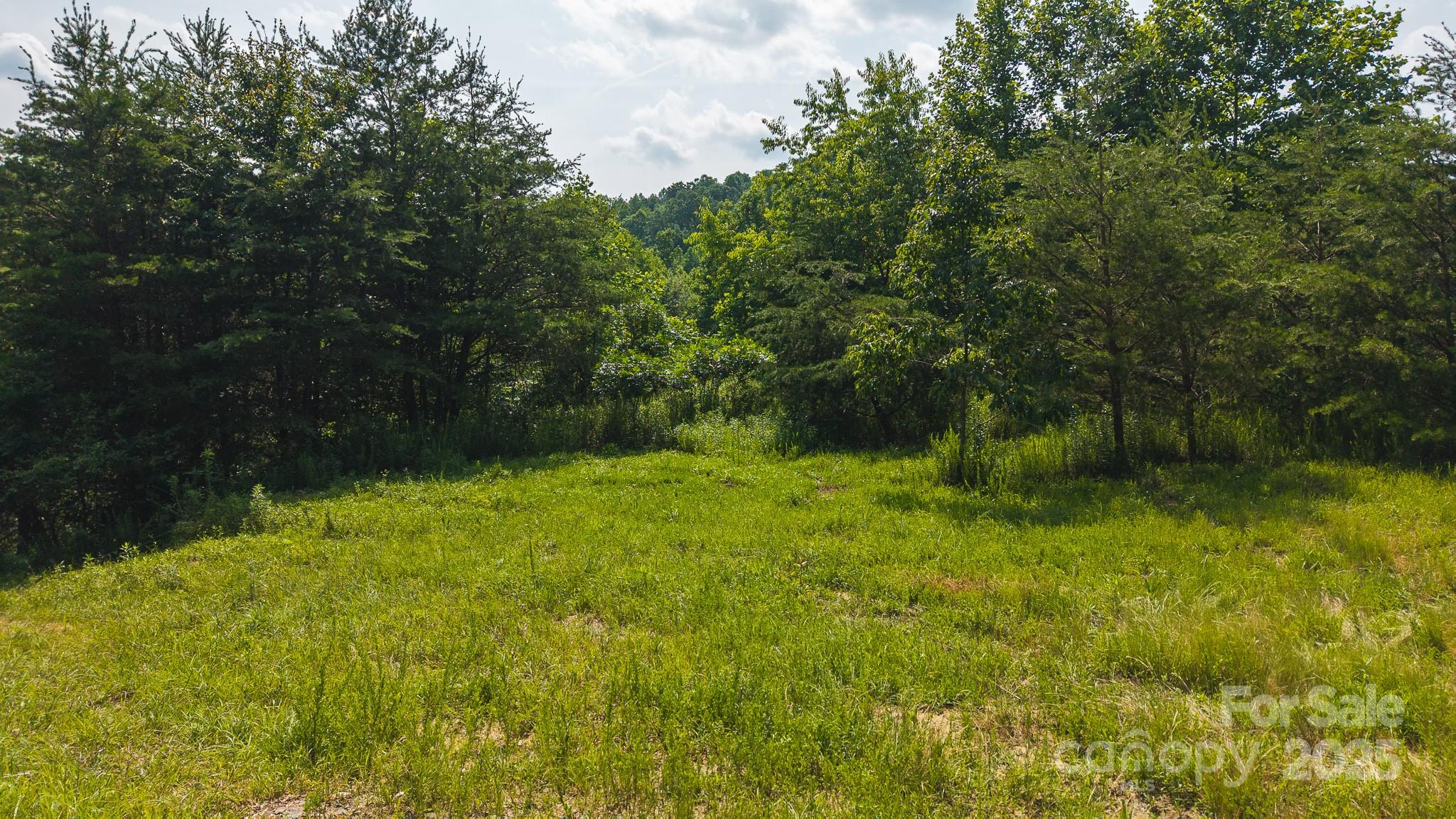0 Old Vashti Road, Unit 2 Taylorsville, NC 28681 - Photo 15 of 37 a view of outdoor space and yard