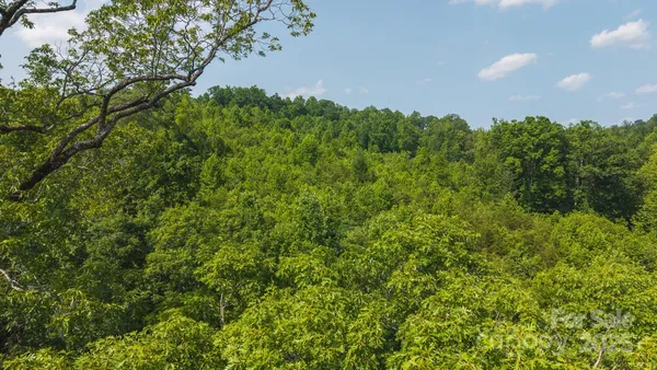 a view of a bunch of trees in a field