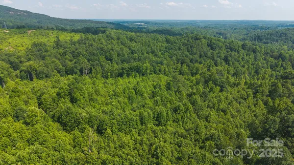 a view of a lush green forest with a houses