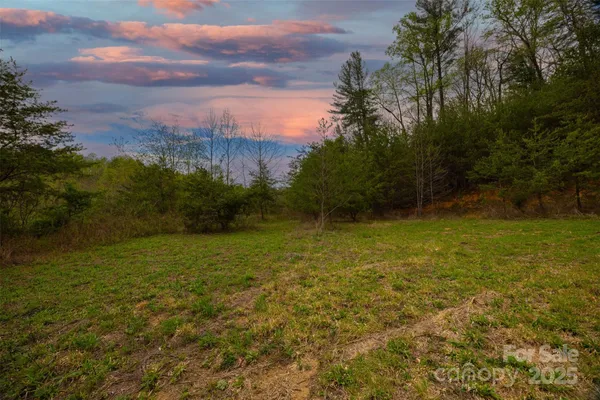 a view of a field with an trees