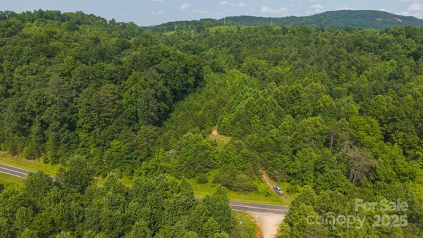 a view of a lush green forest with a mountain in the background