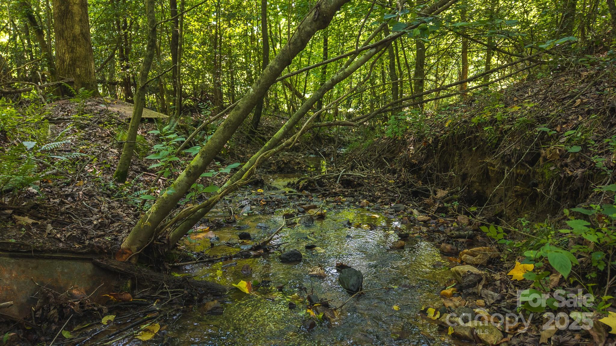 0 Old Vashti Road, Unit 2 Taylorsville, NC 28681 - Photo 30 of 37 a view of a forest with a tree