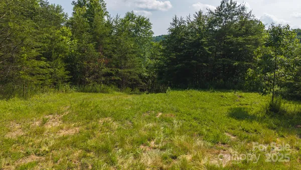 a view of yard with green space