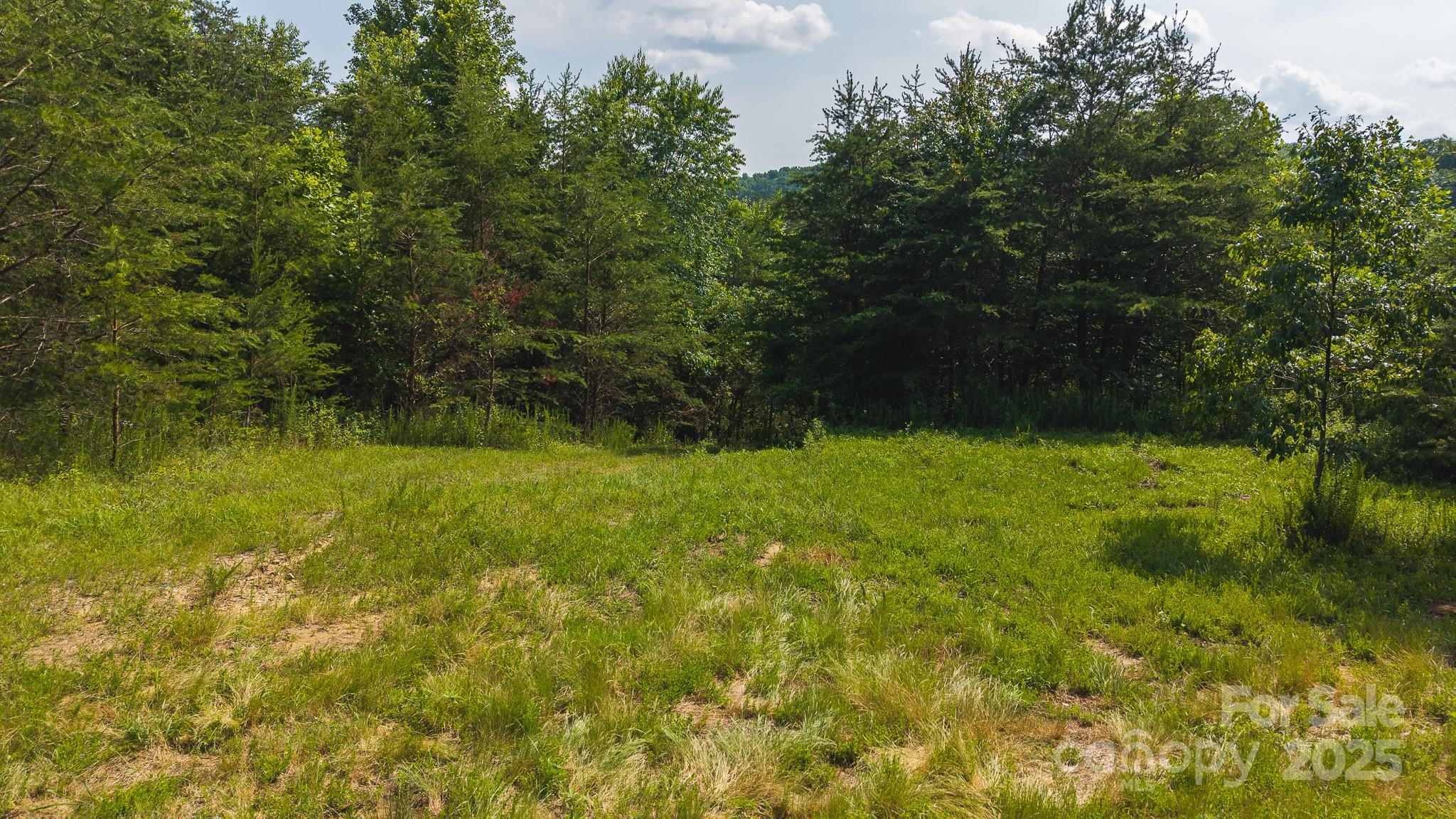0 Old Vashti Road, Unit 2 Taylorsville, NC 28681 - Photo 3 of 37 a view of yard with green space