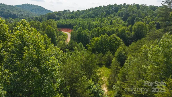 a view of a lush green forest with trees and some houses