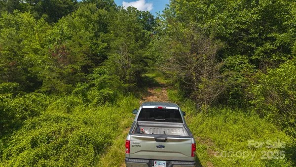 a view of a yard with plants