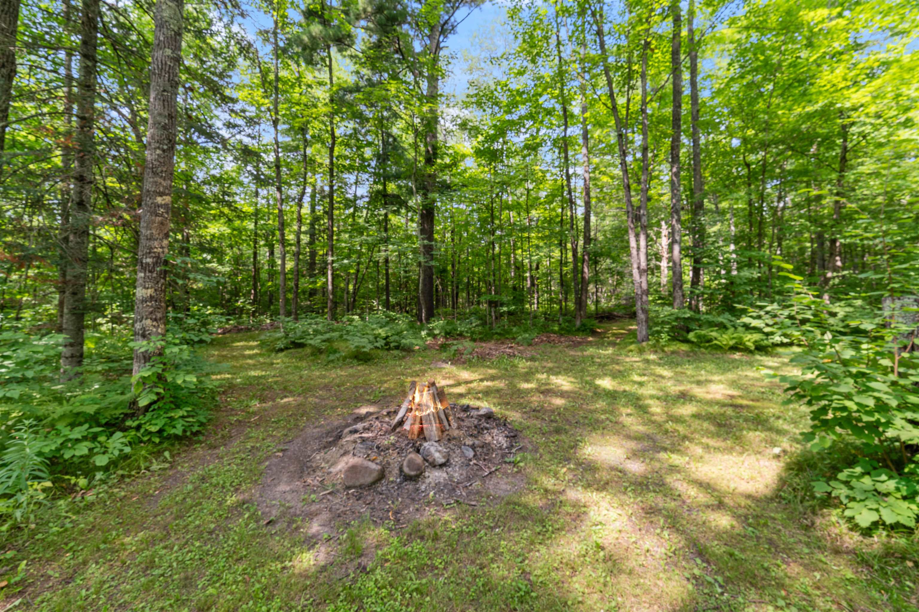 11083 South Ellen Smith Road Solon Springs, WI 54873 - Photo 52 of 58 View of yard with a wooded view