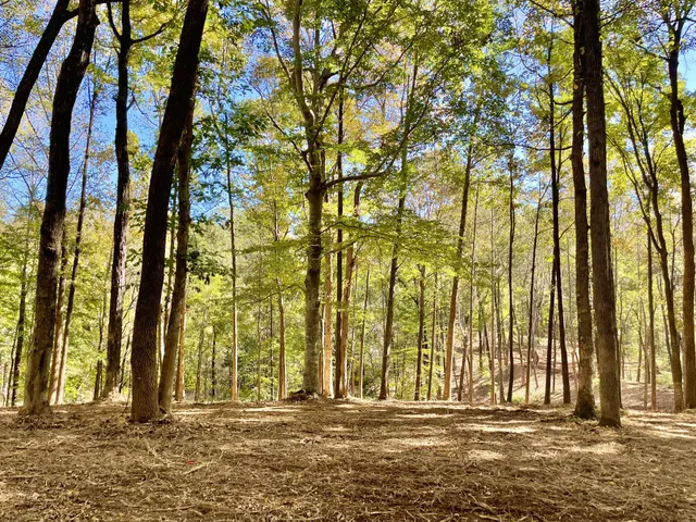 a view of outdoor space with deck