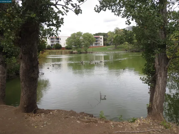 $2,100 | 1591 Ellis Street, Unit 220, Concord, CA 94520