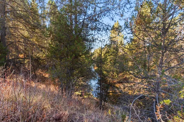 $719,000 | 31 Miners Court, Cascade, ID 83611