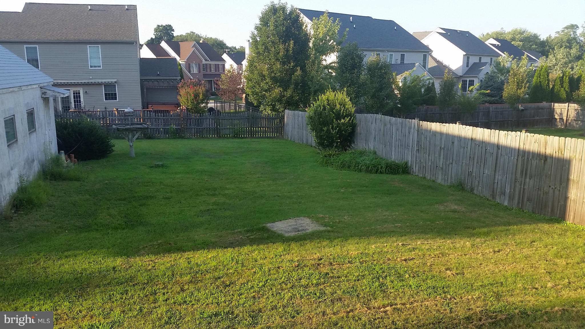 Back Yard