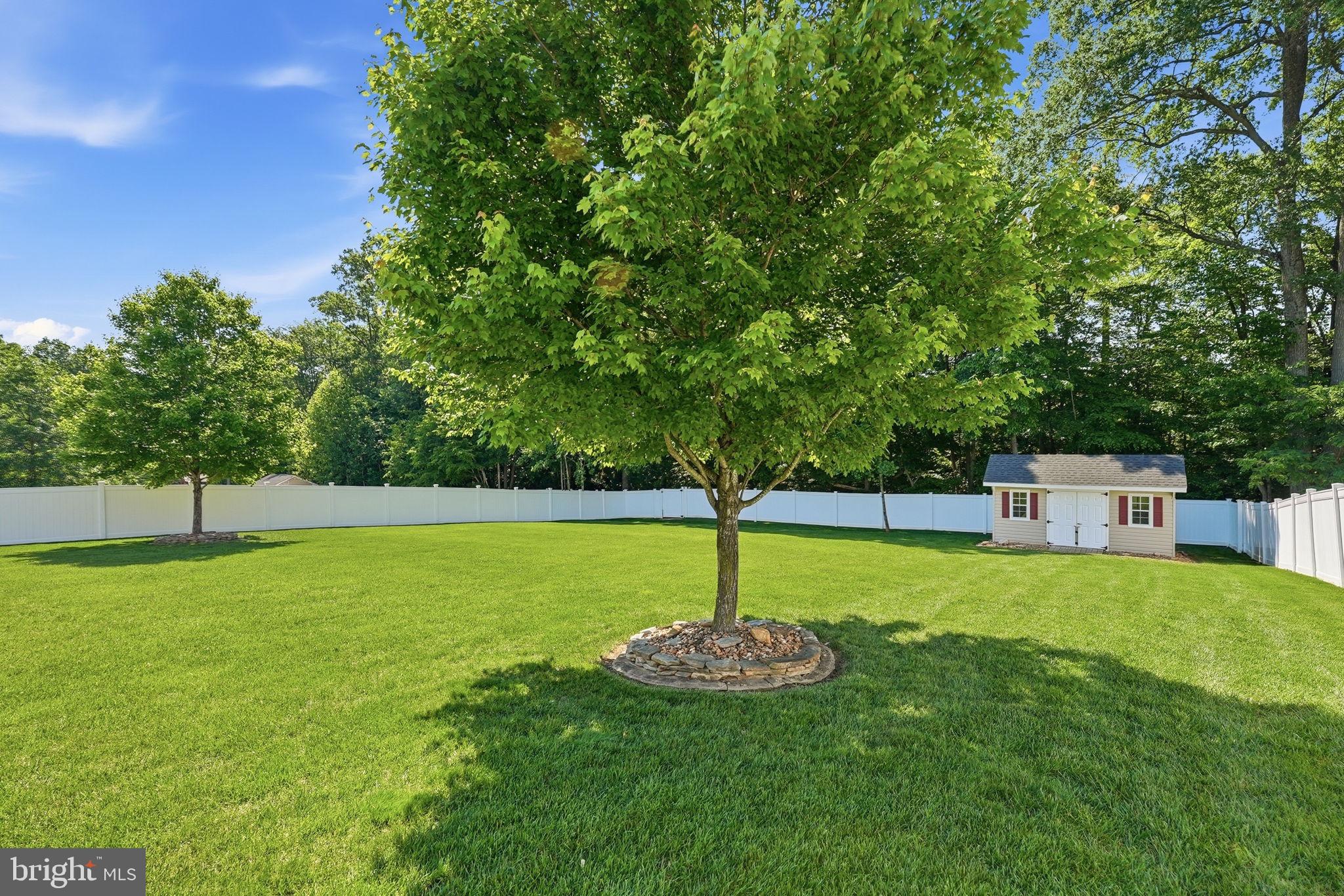 13060 Queen Chapel Road Woodbridge, VA 22193 - Photo 73 of 77 Huge Back yard!
