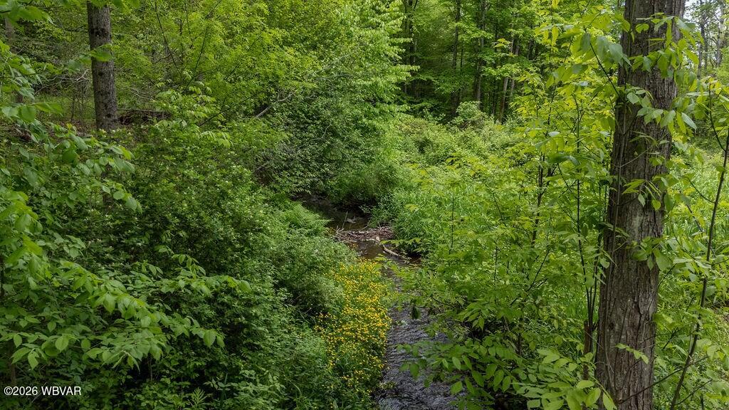 511 Steam Mill Road Wellsboro, PA 16901 - Photo 40 of 50 Gallery Image 40