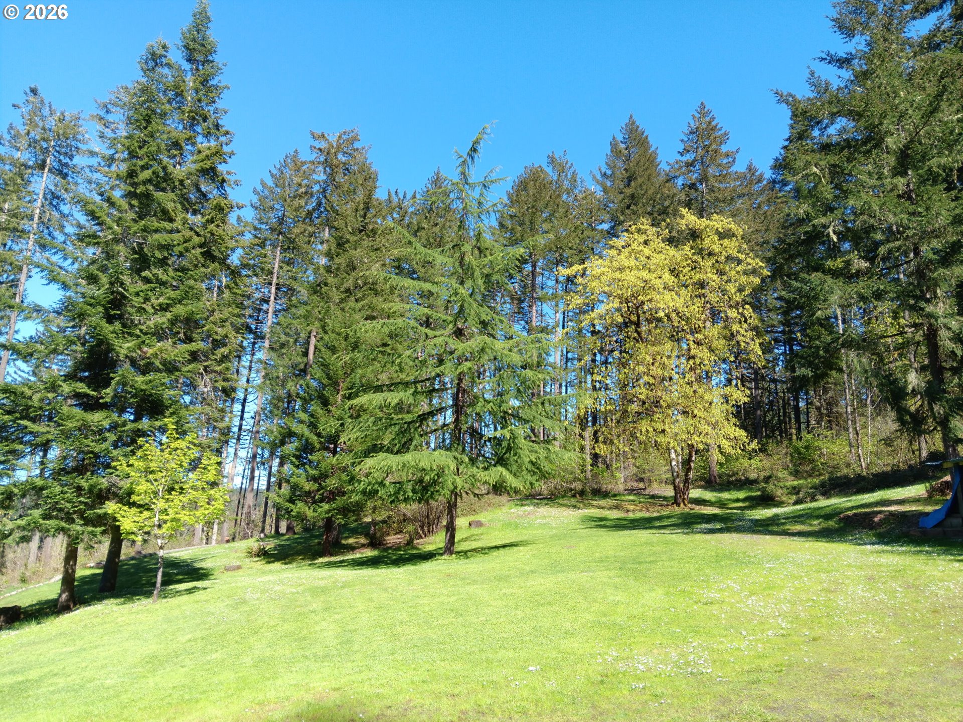 36926 Edgehill Road Springfield, OR 97478 - Photo 5 of 11