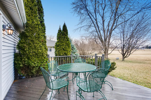 904 South Cooper Road New Lenox, IL 60451 - Photo 24 of 27