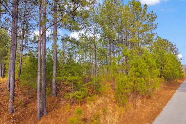 $350,000 | 0 Reservoir Road, West Union, SC 29696
