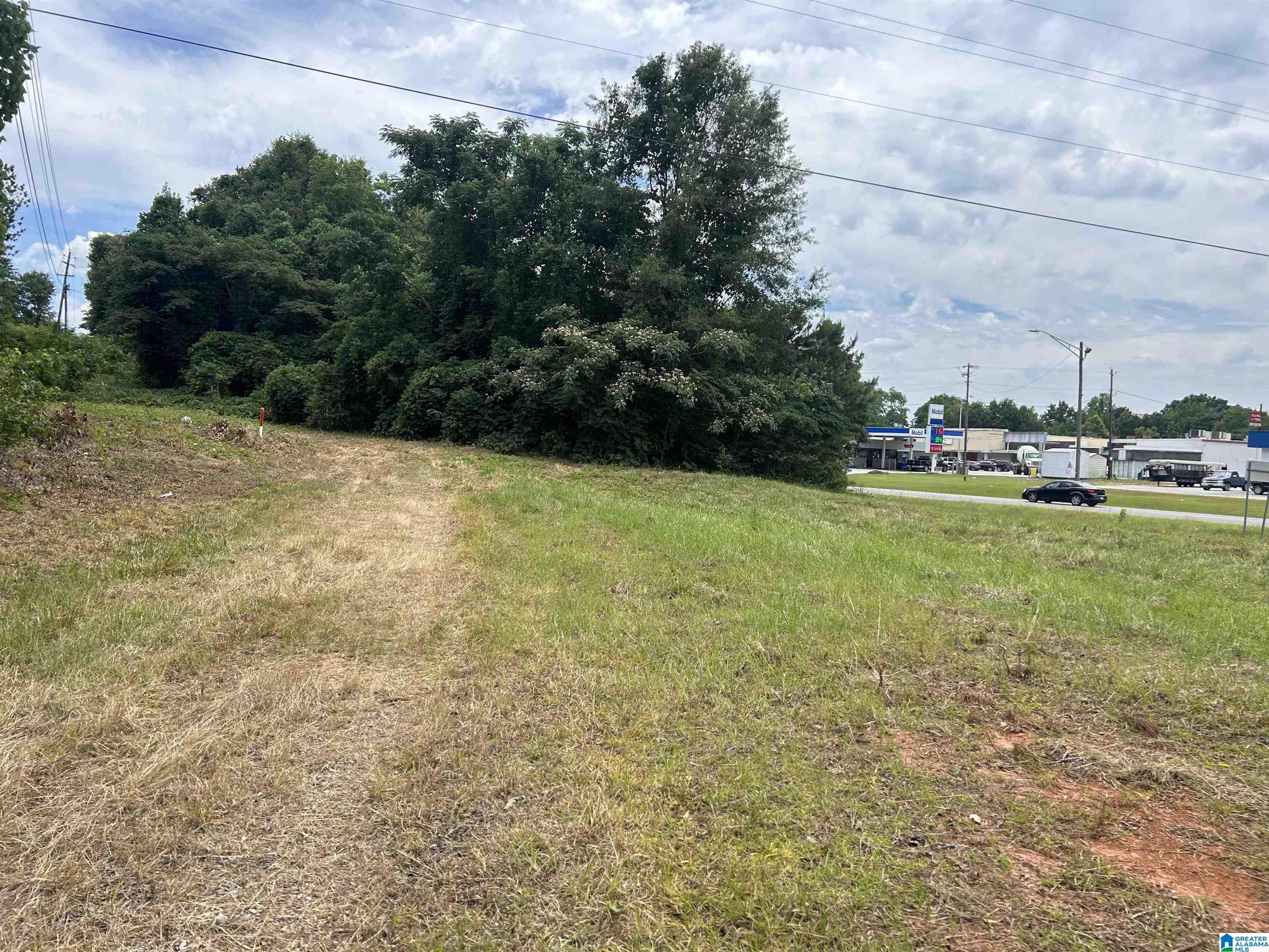 0 Highway 431, Unit 1 Roanoke, AL 36274 - Photo 2 of 5