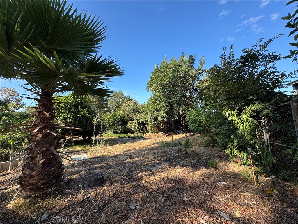 9409 Olive Street Temple City, CA 91780 - Photo 6 of 7 a view of a tree with a yard