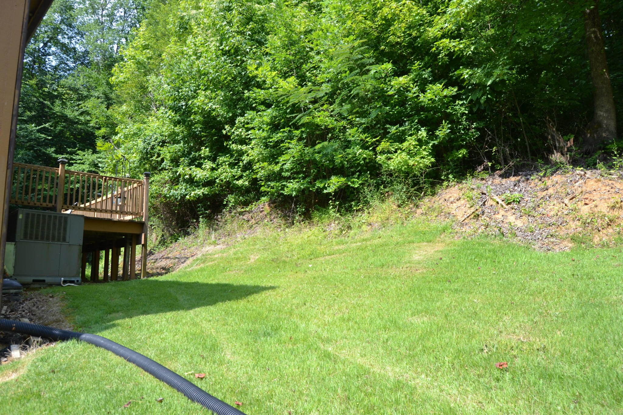 1659 Dupont Road Seymour, TN 37865 - Photo 19 of 24 Gallery Image 19