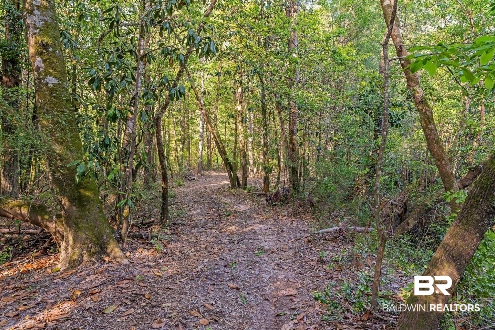 11100 Kali Oka Road Eight Mile, AL 36613 - Photo 19 of 49