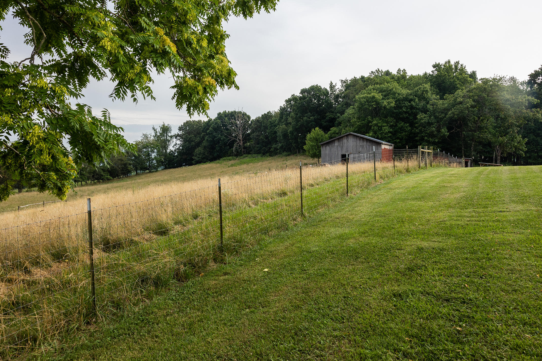614 Martin Road Limestone, TN 37681 - Photo 25 of 39 EK3A8118